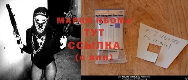 амф Гусиноозёрск