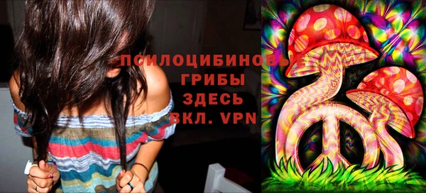 гидропоника Гусь-Хрустальный