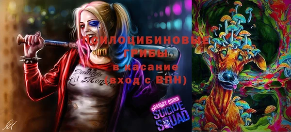 мескалин Гусев