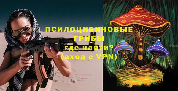 мескалин Гусев