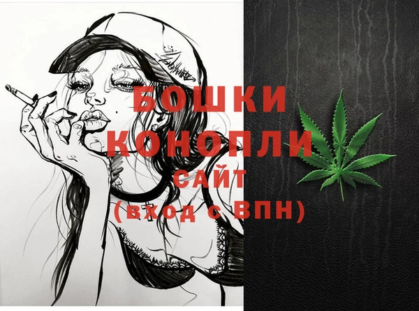 гидропоника Гусь-Хрустальный