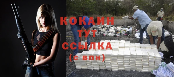 гидропоника Гусь-Хрустальный